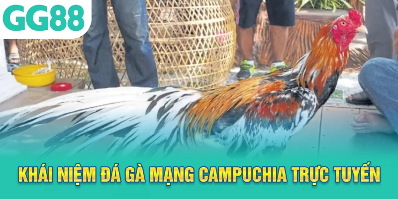 Khái niệm đá gà mạng Campuchia trực tuyến